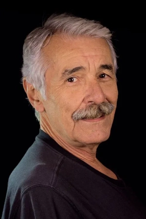 Али Ипин
